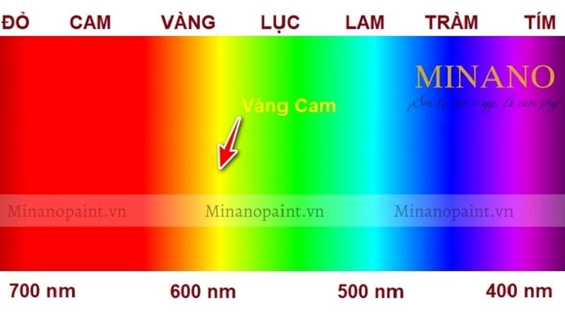 Vàng kem là màu có bước sóng λ ~ 600 nm